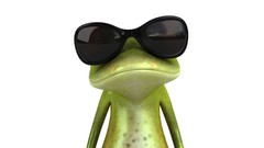 Glasses Frogs sunglasses