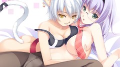 Glasses tie blue hair animal ears cleavage hentai strategic 
