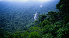 Globus amazon jungle high