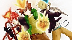 Gloves flames basil katekyo hitman reborn Sawada Tsunayoshi 