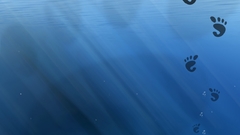 Gnome step into freedom