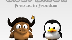 Gnu Linux tux