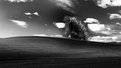 Godzilla monochrome greyscale