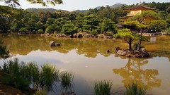 Gold Japan temple lakes golden