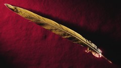 Gold red feathers minimalistic