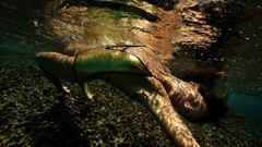 Gold woman underwater models bikini swimsuits monokini