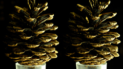 Golden cone stereoscopic by