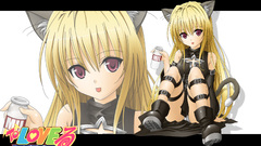 Golden darkness animal ears