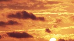 Golden glow percy warner