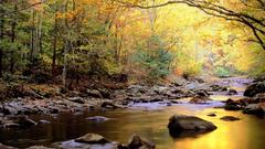 Golden HDR Photography