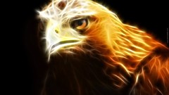 Golden Photo manipulation black