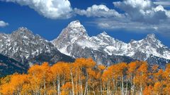 Golden Trees Mountains clouds