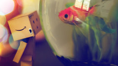 Goldfish fish bowls blurred