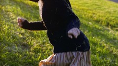 Goldfish models scans