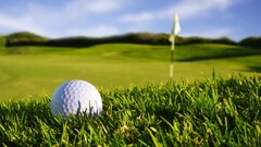 golf Sports balls grass Sport golf ball Golf Course