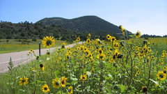 Goodbvye capulin volcano in