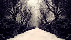 Goodbye thanks will alone 1600 continue 2560