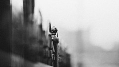 Gothic black and white monochrome fences bokeh urban grayscale 