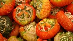 Gourds food Food and