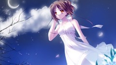 Graceful night Manga Anime