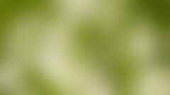 gradient texture green background