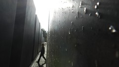 Graffiti Birds underground Berlin