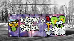 Graffiti Characters street art 0700 team Franek Mysza Kot 