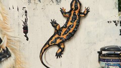 Graffiti lizards