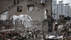 Graffiti rhinoceros beasts disasters