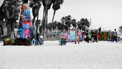Graffiti venice palm trees Beaches artwork selective coloring