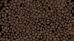 Grain Coffee Beans