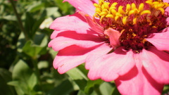 Granada Spain high World