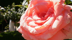 Granada Spain high World