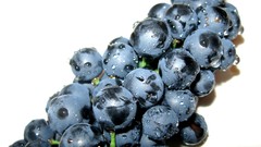 Grapes
