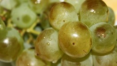 Grapes