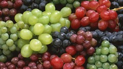 Grapes fruits