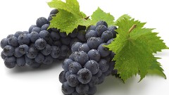 Grapes fruits