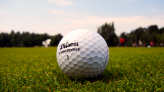 Grass balls golf Wilson