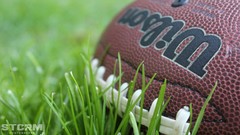Grass balls white Green brown American Football colors Wilson