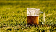 Grass beers gambrinus