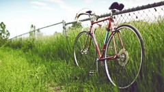 Grass Bicycles