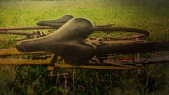 Grass bike Bicycles bicycle seat