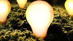 Grass bokeh light bulbs