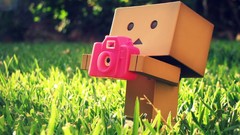 Grass Cameras danboard
