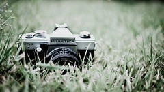 Grass Cameras macro praktika