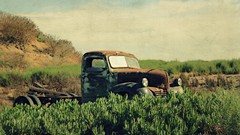 Grass cars vintage old cars vintage cars