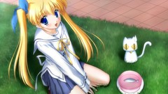 Grass cats fish Anime blondes blush anime girls blue eyes 