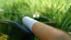 Grass Cigarettes nature