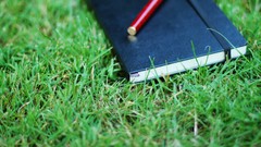 Grass close-up notebook