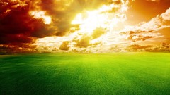 Grass clouds red skyscapes